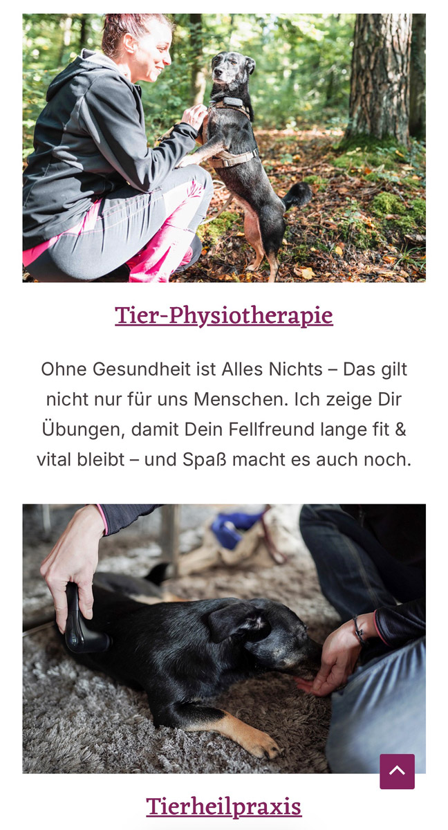 webseite-fuer-hundetrainer