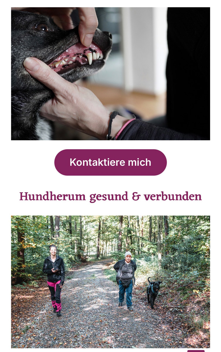 webseite-fuer-tierberufe