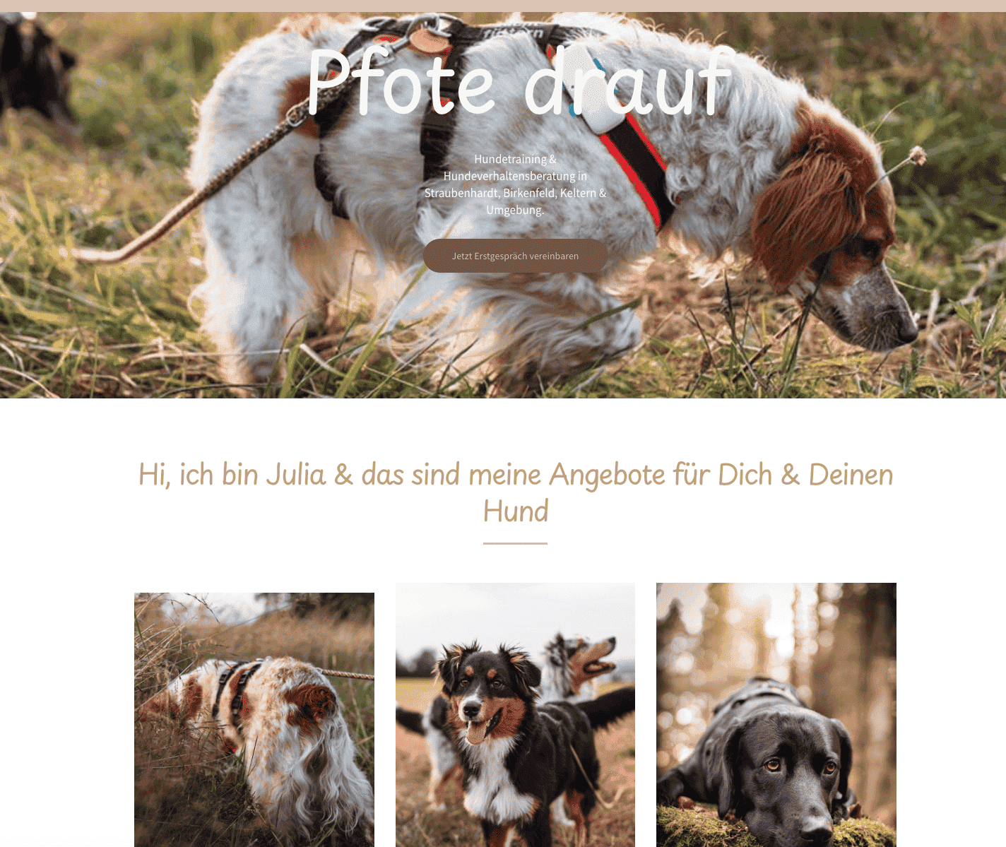 Startseite modern und einladen