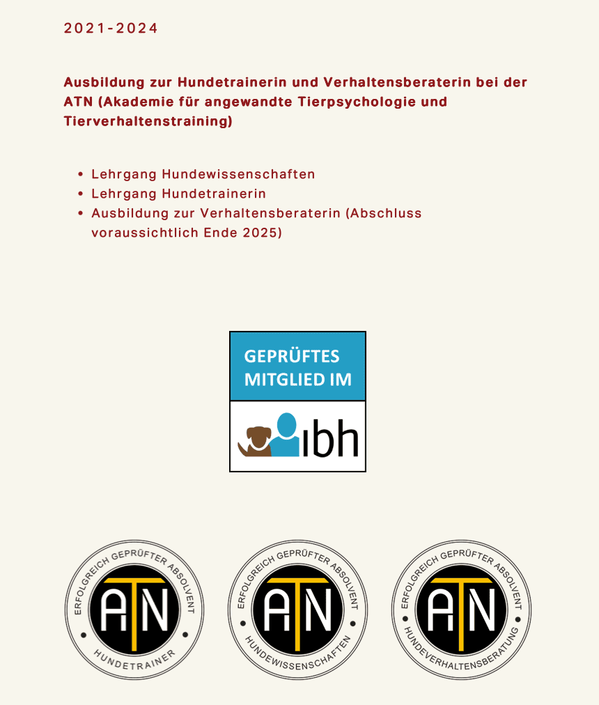 webseite-fuer-tierberufe